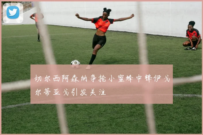 切尔西阿森纳争抢小蜜蜂中锋伊戈尔蒂亚戈引发关注